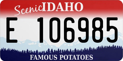 ID license plate E106985