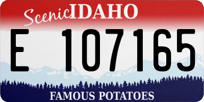 ID license plate E107165