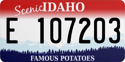 ID license plate E107203
