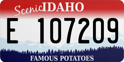 ID license plate E107209