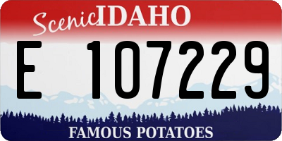 ID license plate E107229