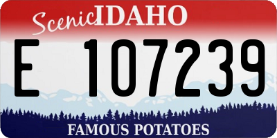 ID license plate E107239