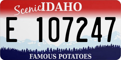 ID license plate E107247