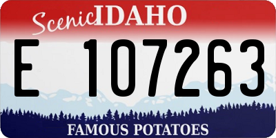 ID license plate E107263
