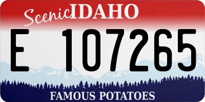 ID license plate E107265