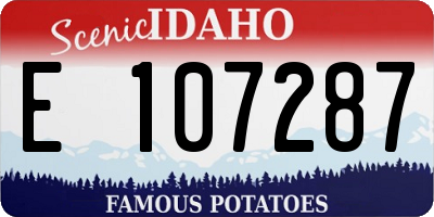 ID license plate E107287