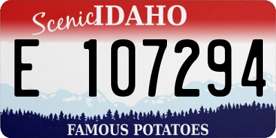 ID license plate E107294