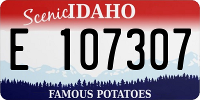 ID license plate E107307