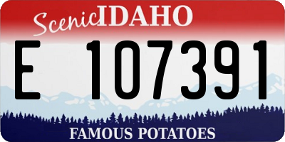 ID license plate E107391