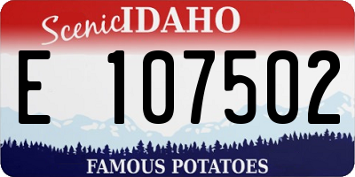 ID license plate E107502