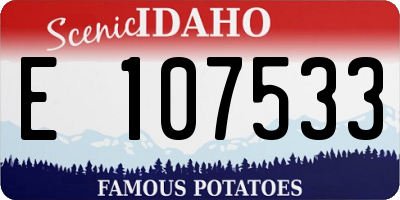 ID license plate E107533