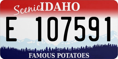 ID license plate E107591