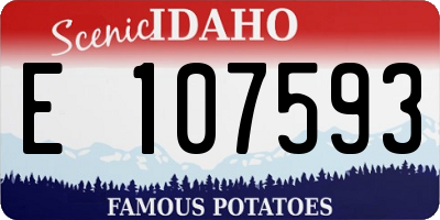 ID license plate E107593