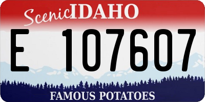 ID license plate E107607