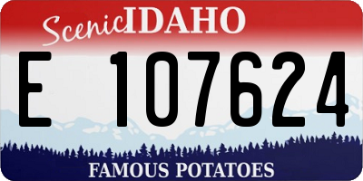 ID license plate E107624