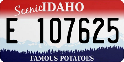 ID license plate E107625