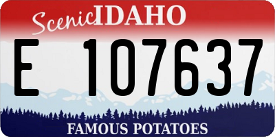 ID license plate E107637
