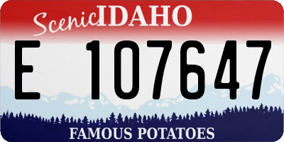 ID license plate E107647