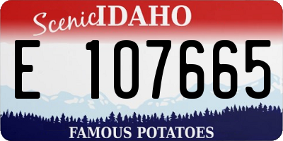 ID license plate E107665