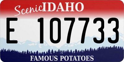 ID license plate E107733