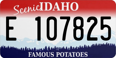 ID license plate E107825