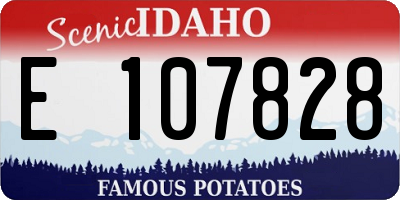ID license plate E107828