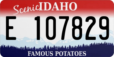 ID license plate E107829