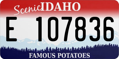 ID license plate E107836