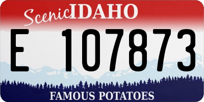 ID license plate E107873
