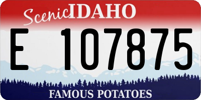 ID license plate E107875