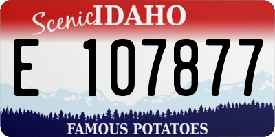 ID license plate E107877