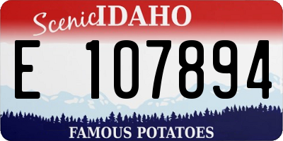 ID license plate E107894