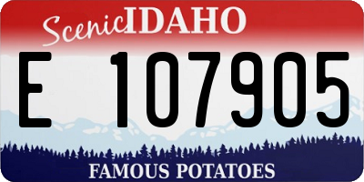 ID license plate E107905