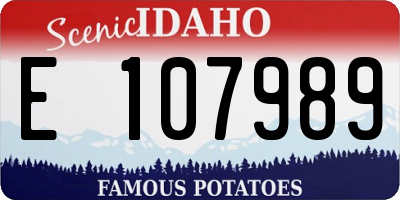 ID license plate E107989
