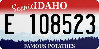 ID license plate E108523