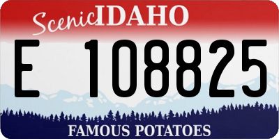 ID license plate E108825