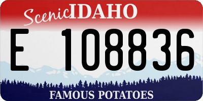 ID license plate E108836