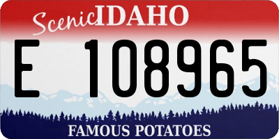 ID license plate E108965