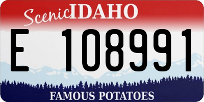 ID license plate E108991
