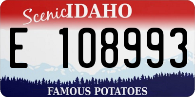 ID license plate E108993