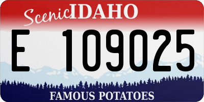 ID license plate E109025