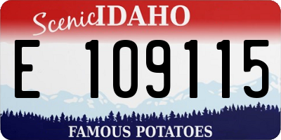 ID license plate E109115