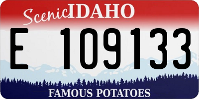 ID license plate E109133
