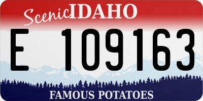 ID license plate E109163
