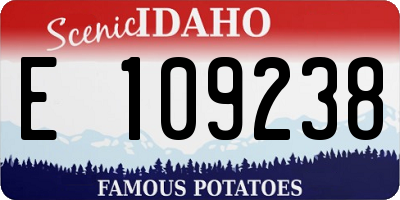 ID license plate E109238
