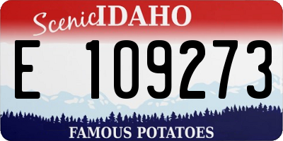 ID license plate E109273