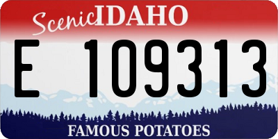 ID license plate E109313