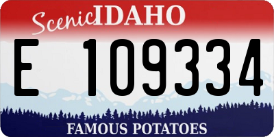 ID license plate E109334