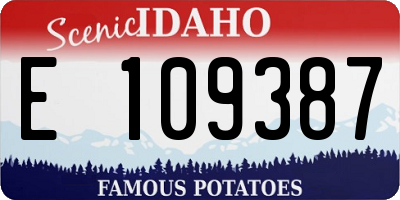 ID license plate E109387