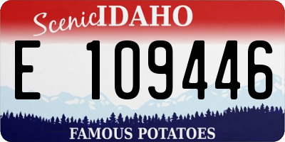 ID license plate E109446